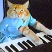 Keyboard Cat
